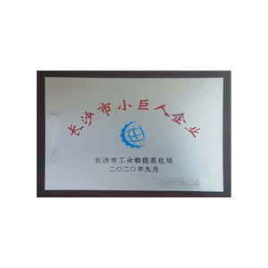 2020年長沙市工業(yè)和信息化類小巨人企業(yè)